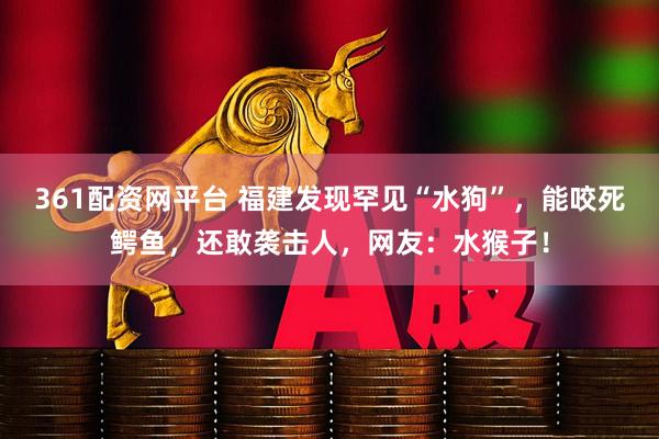 361配资网平台 福建发现罕见“水狗”，能咬死鳄鱼，还敢袭击人，网友：水猴子！