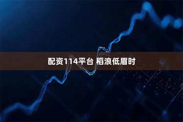 配资114平台 稻浪低眉时