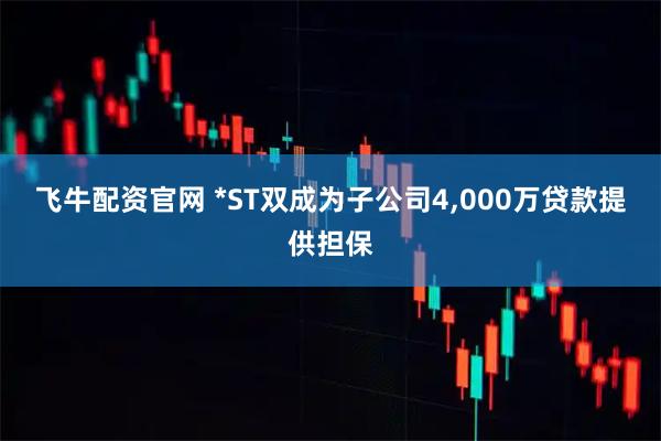 飞牛配资官网 *ST双成为子公司4,000万贷款提供担保